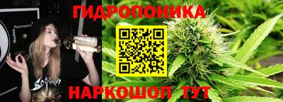 МДМА Можга