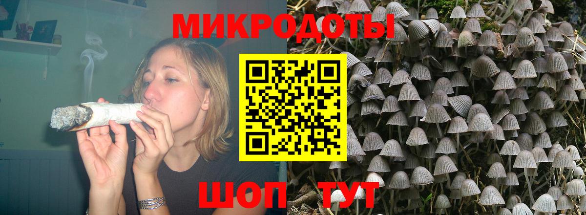где продают наркотики  Галлюциногенные грибы GOLDEN TEACHER  Вход с VPN  Унеча 