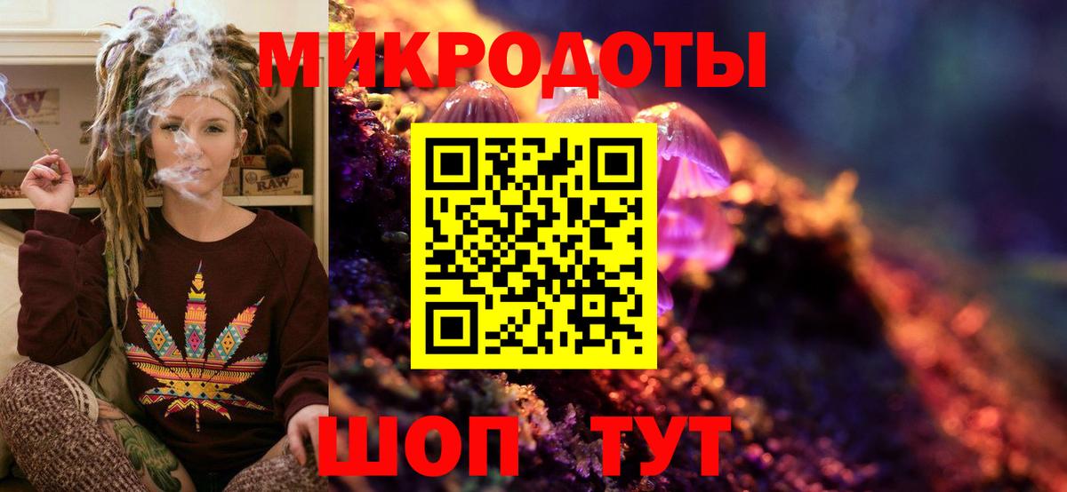 Галлюциногенные грибы Psilocybine cubensis Унеча
