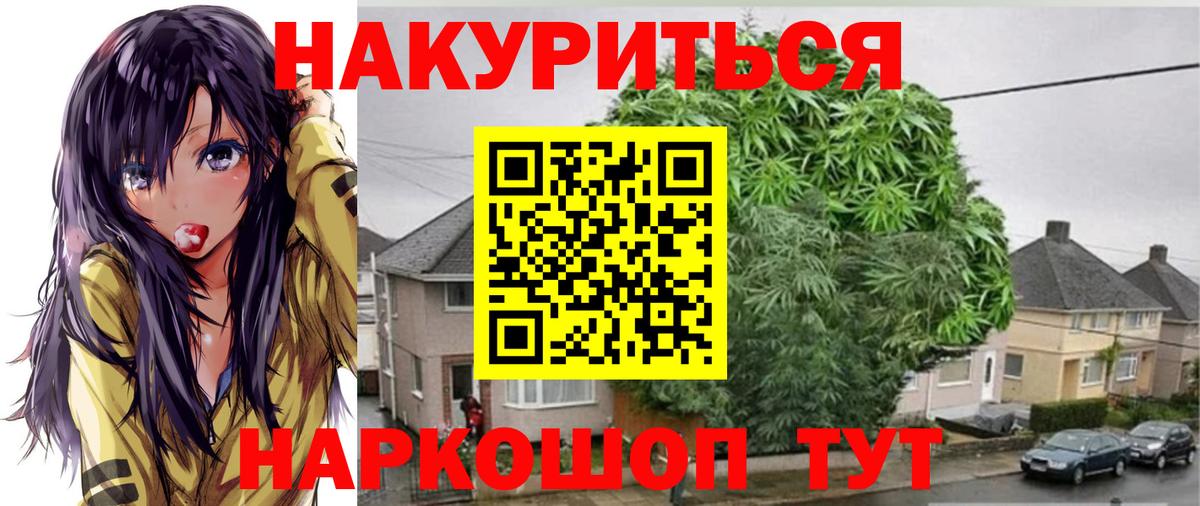 Унеча  Каннабис Ganja  Вход с VPN  Бошки марихуана план 